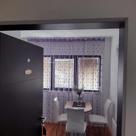 Aleksandra Zlatiborski Andjeo