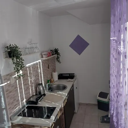 Aleksandra Zlatiborski Andjeo