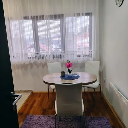 Aleksandra Zlatiborski Andjeo 즐라티보