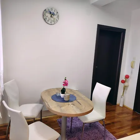 Aleksandra Zlatiborski Andjeo