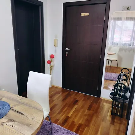 Aleksandra Zlatiborski Andjeo