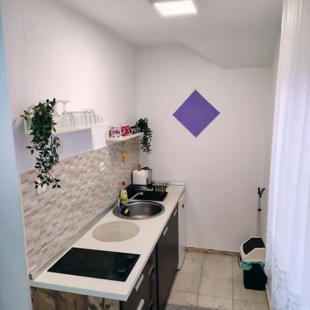 Aleksandra Zlatiborski Andjeo アパート *