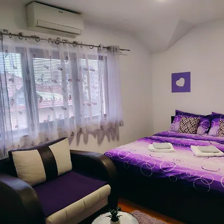 Aleksandra Zlatiborski Andjeo *