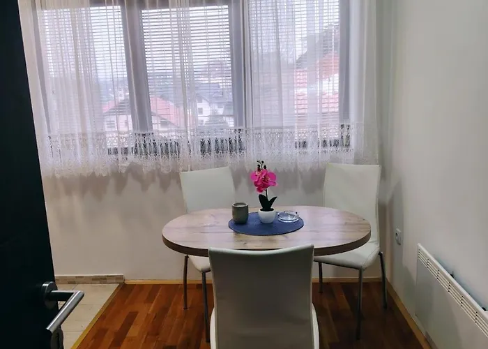 Aleksandra Zlatiborski Andjeo ズラティボール