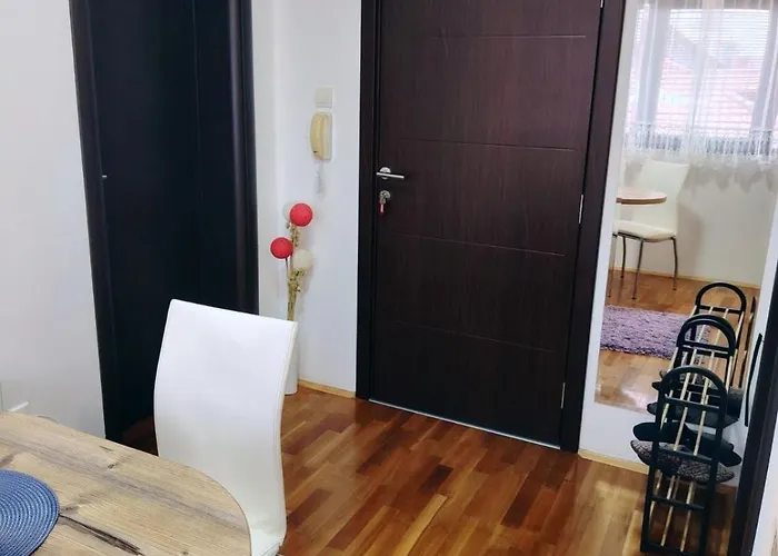 Aleksandra Zlatiborski Andjeo