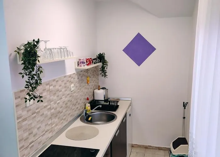 Aleksandra Zlatiborski Andjeo アパート *