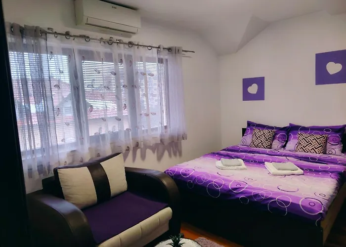 Aleksandra Zlatiborski Andjeo *