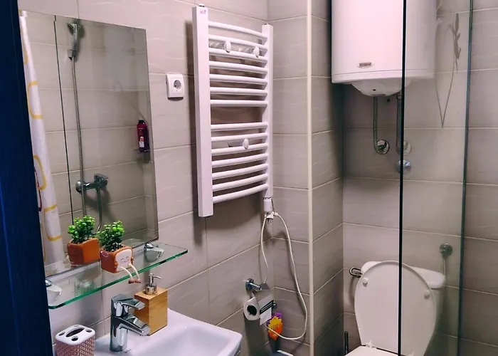 Aleksandra Zlatiborski Andjeo *