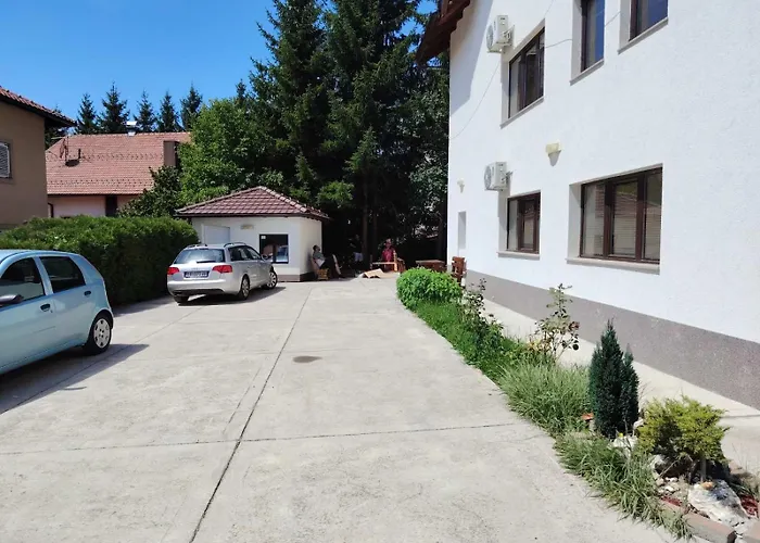 Aleksandra Zlatiborski Andjeo *