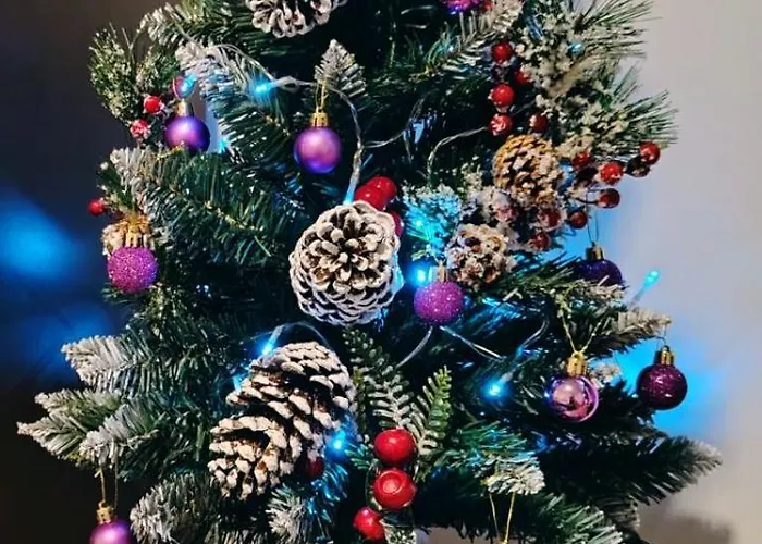 Aleksandra Zlatiborski Andjeo * ズラティボール